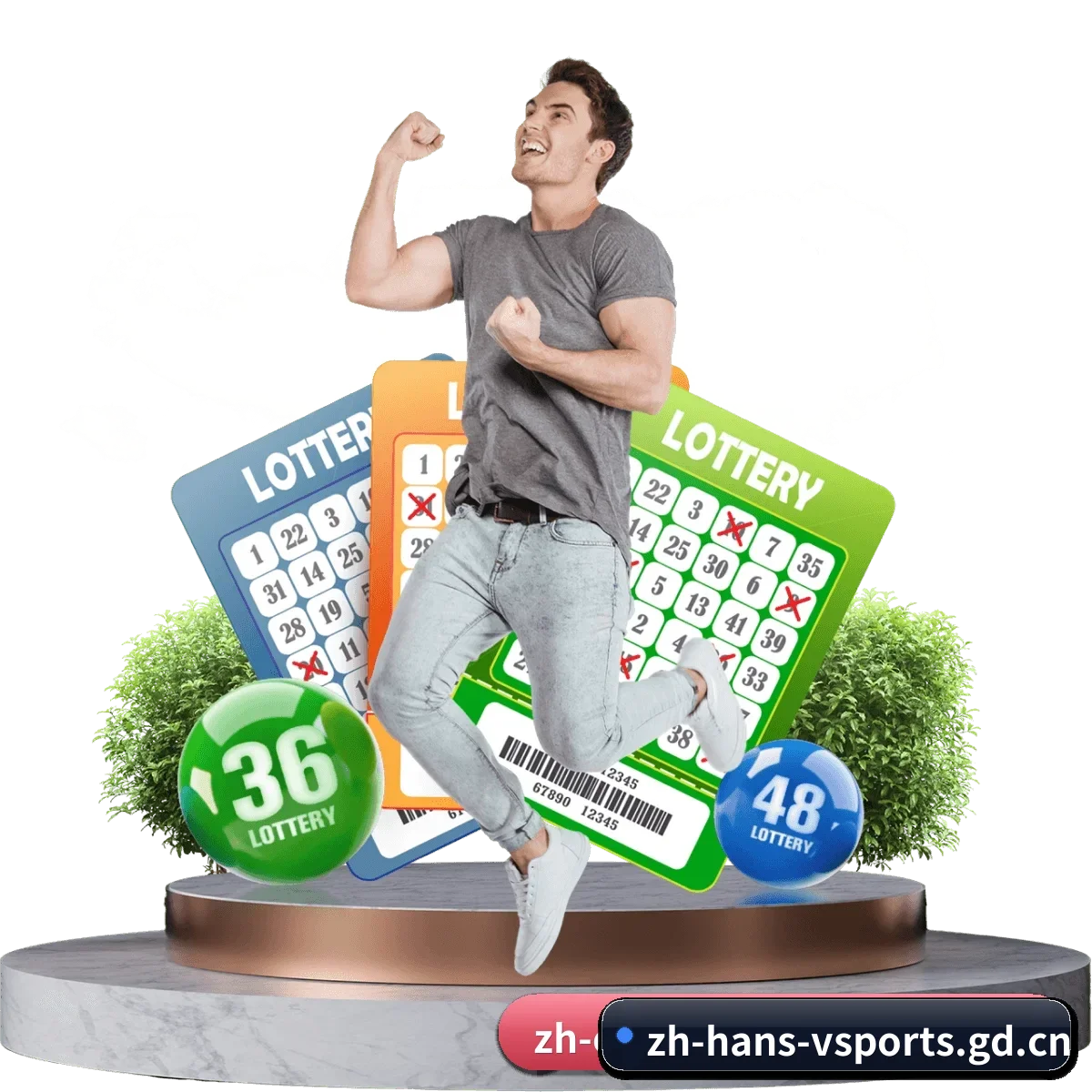平台正式上线(vsports)